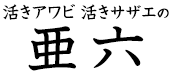 活あわび・活さざえ・ウニの通販なら │お取り寄せ専門店【 亜六 】 【亜六】では、ひとつひとつ手作業で新鮮なものを厳選した「活あわび・活さざえ」や、化学保存料・添加物不使用でウニそのものの味を楽しめると人気の完全受注生産品「ウニの瓶詰」などを全国へお届けしています。大量に仕入れることで、高級食材をお安くご提供。ご家庭用はもちろん、ギフトなどの贈答用としてもおすすめです。業務用にも対応。